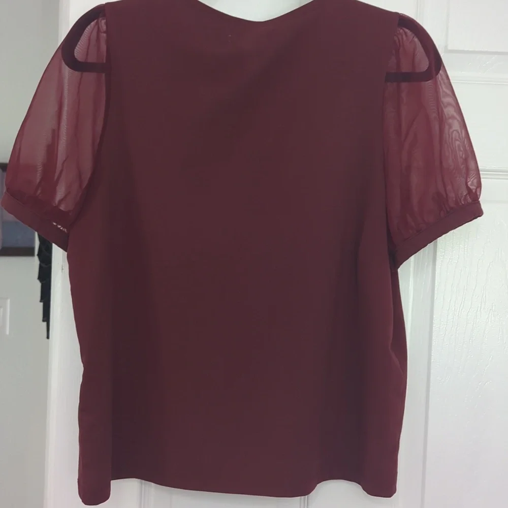 Madewell Maroon Sheer Puff Sleeve Large Top - Picture 5 of 5